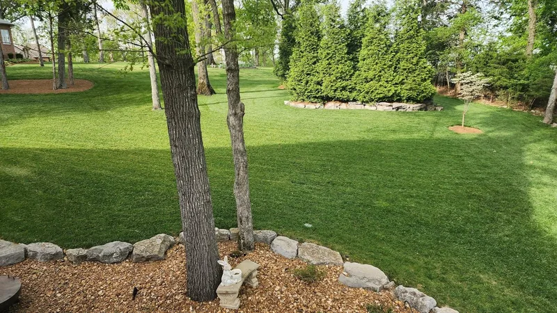 Lawn treatment results in Nolensville TN by Mr. Lawn Care