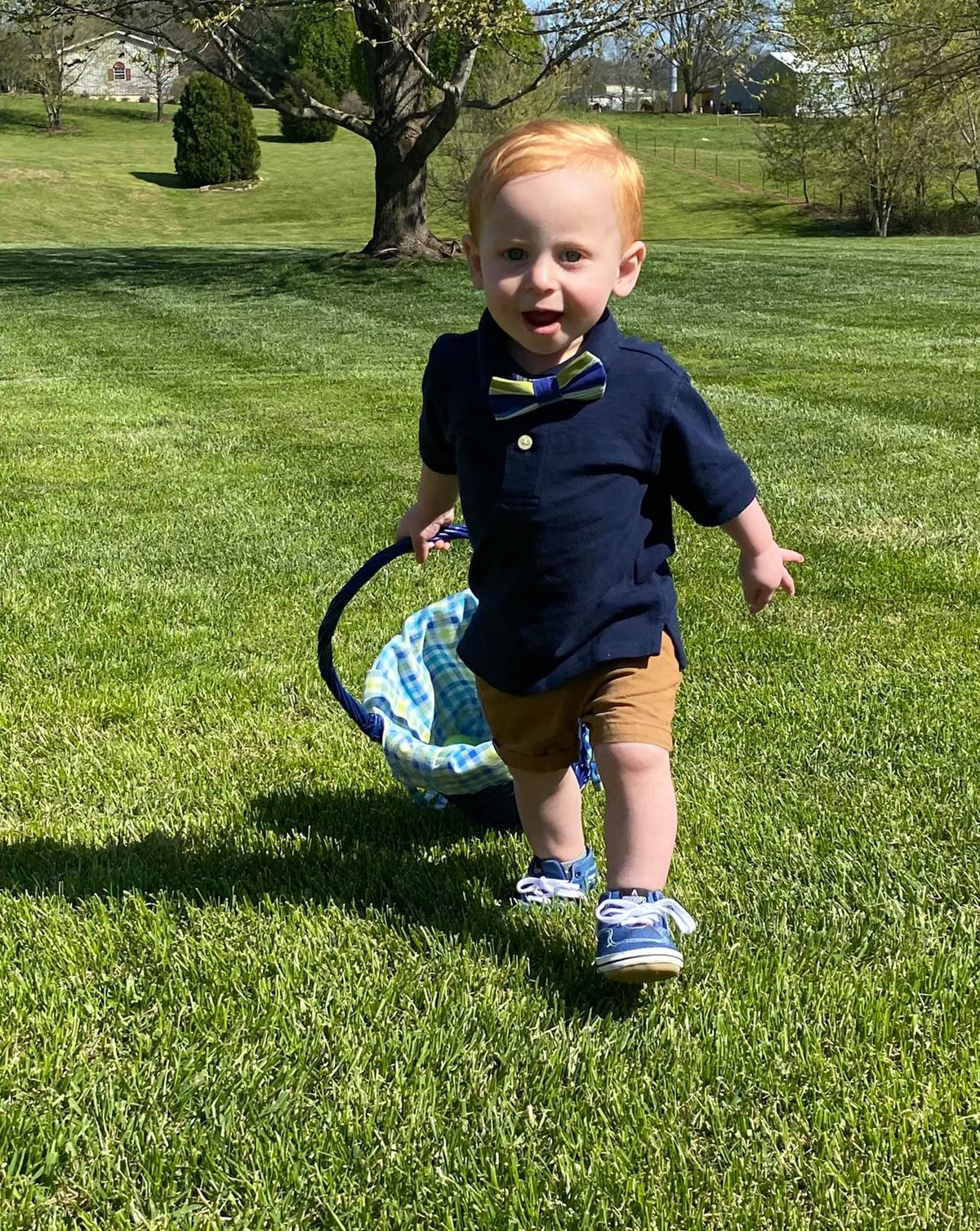 Safe family-friendly lawn treated by Mr. Lawn Care in Middle Tennessee