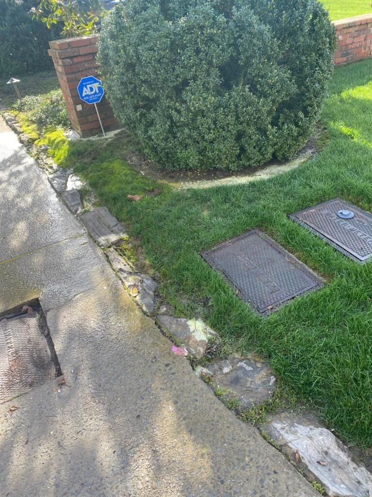 Newly Germinated Grass to Cobblestone Edging Showcasing Precision Seeding — Mr. Lawn Care, Middle Tennessee lawn treatment