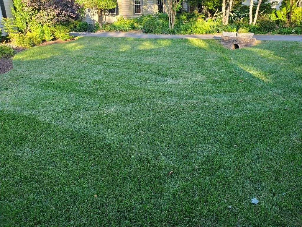 A Beatiful Fescue Lawn in the Shade — Mr. Lawn Care, Middle Tennessee lawn treatment
