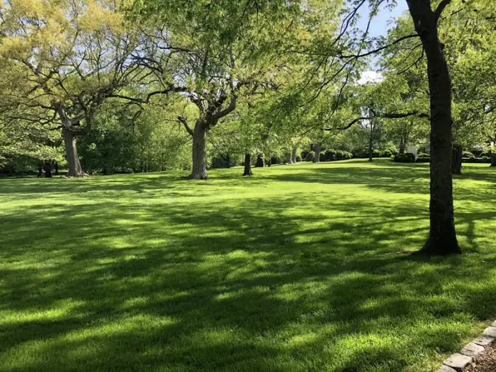 Beautiful estate lawn in Belle Meade Nashville TN maintained by Mr. Lawn Care