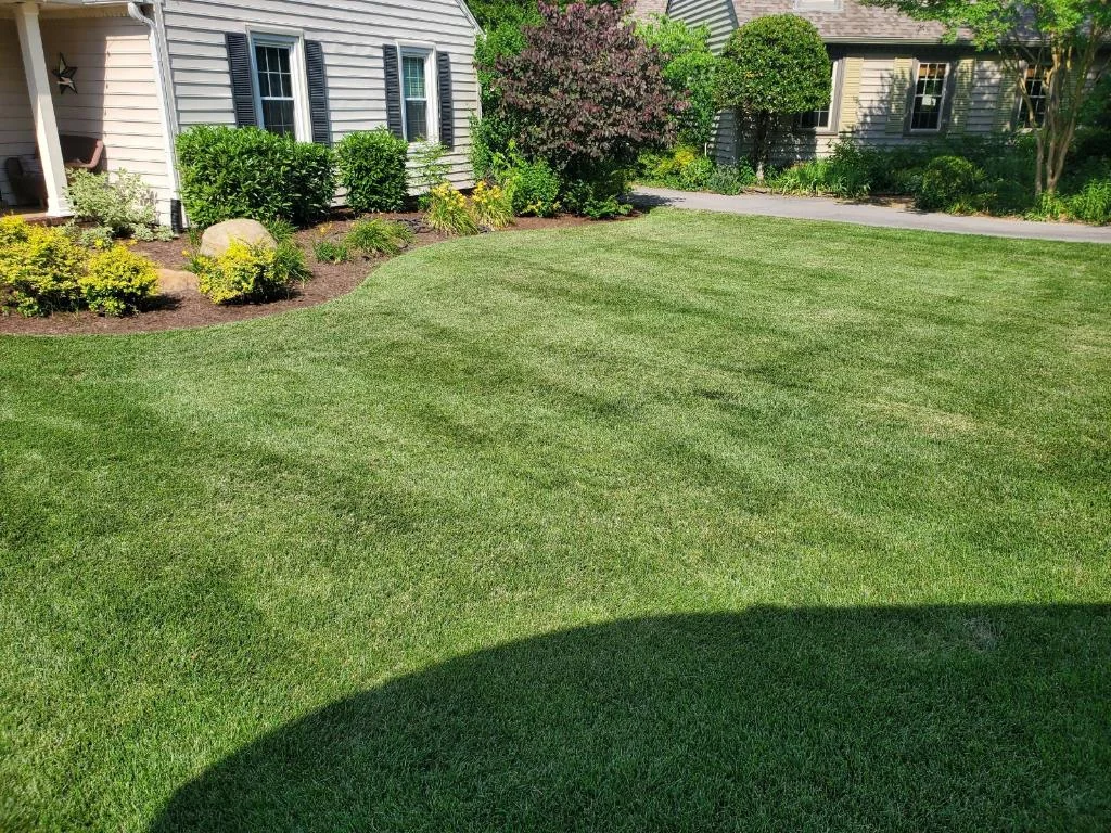 A Beautiful Fescue Lawn and Landscape Bade Against the House — Mr. Lawn Care, Middle Tennessee lawn treatment