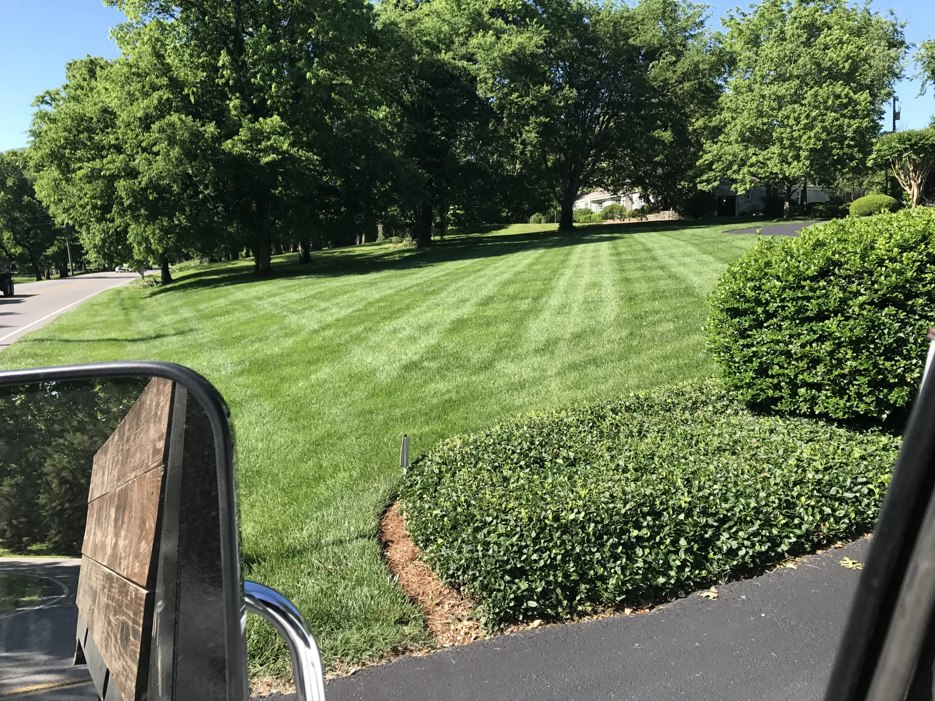 Beautiful healthy fescue lawn in Belle Meade TN treated by Mr. Lawn Care