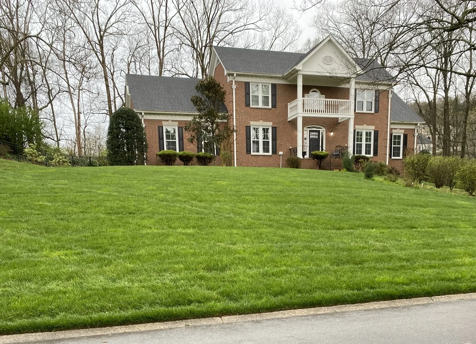 A Beautiful Fescue Lawn on a Hill — Mr. Lawn Care, Middle Tennessee lawn treatment