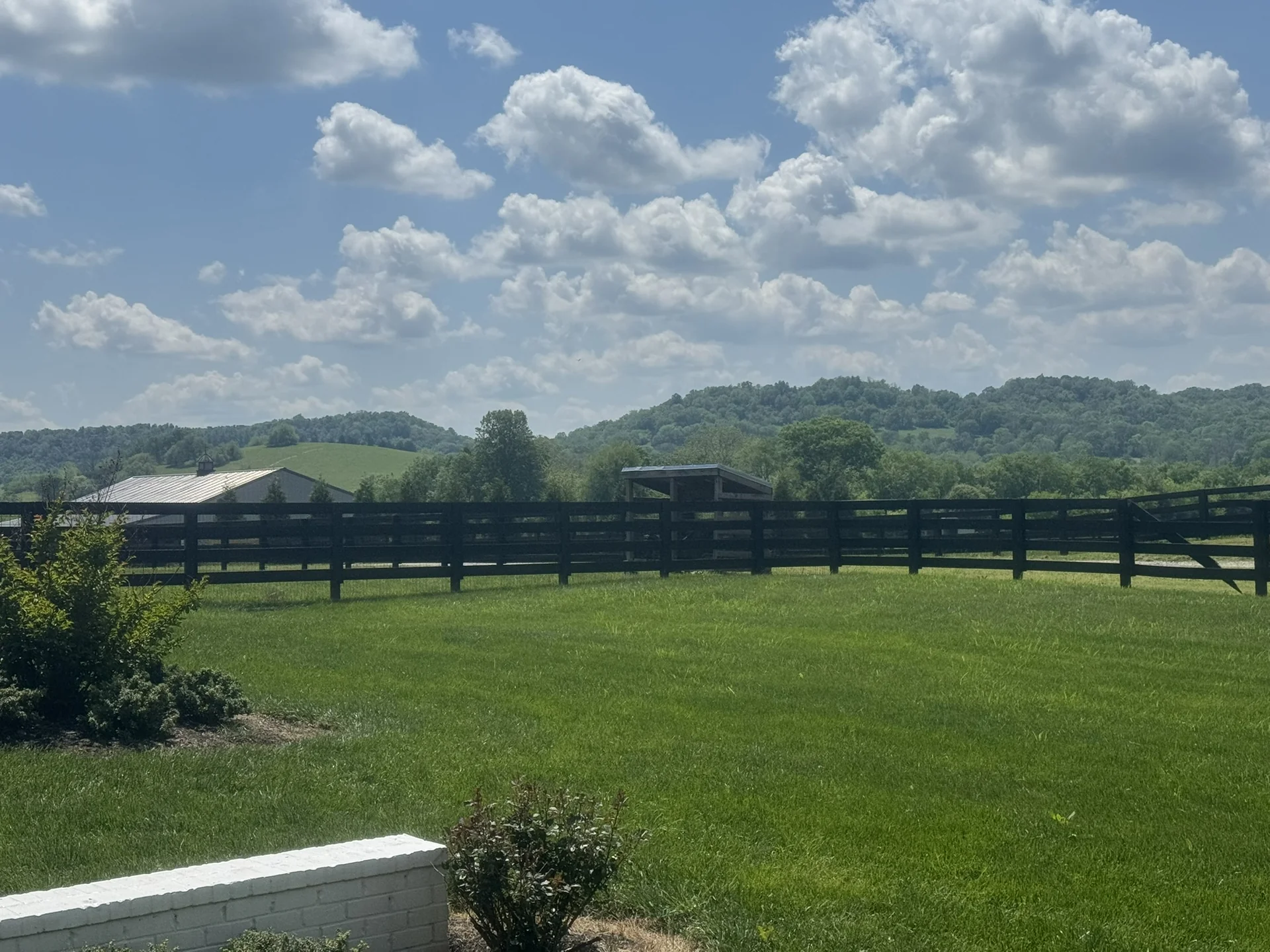 A Beautiful Fescue Lawn You Can See Hills in the Distance — Mr. Lawn Care, Middle Tennessee lawn treatment
