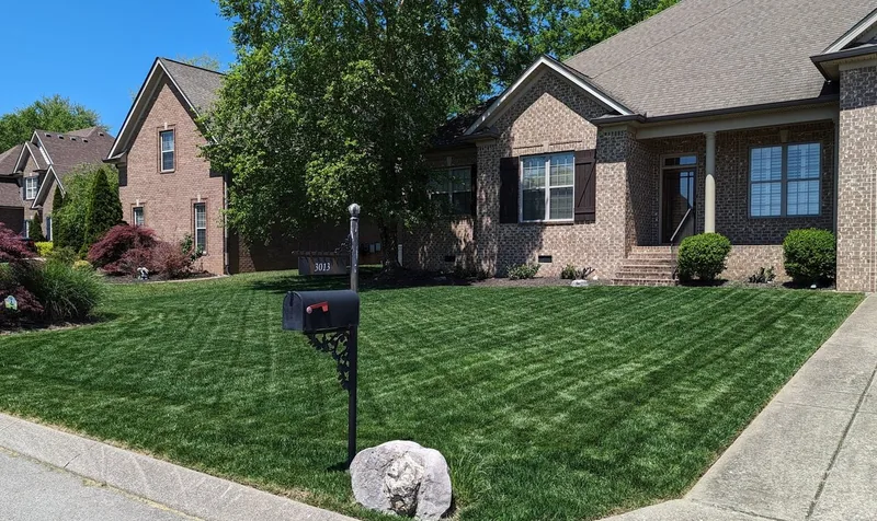 Beautiful fescue lawn care results in Thompson\