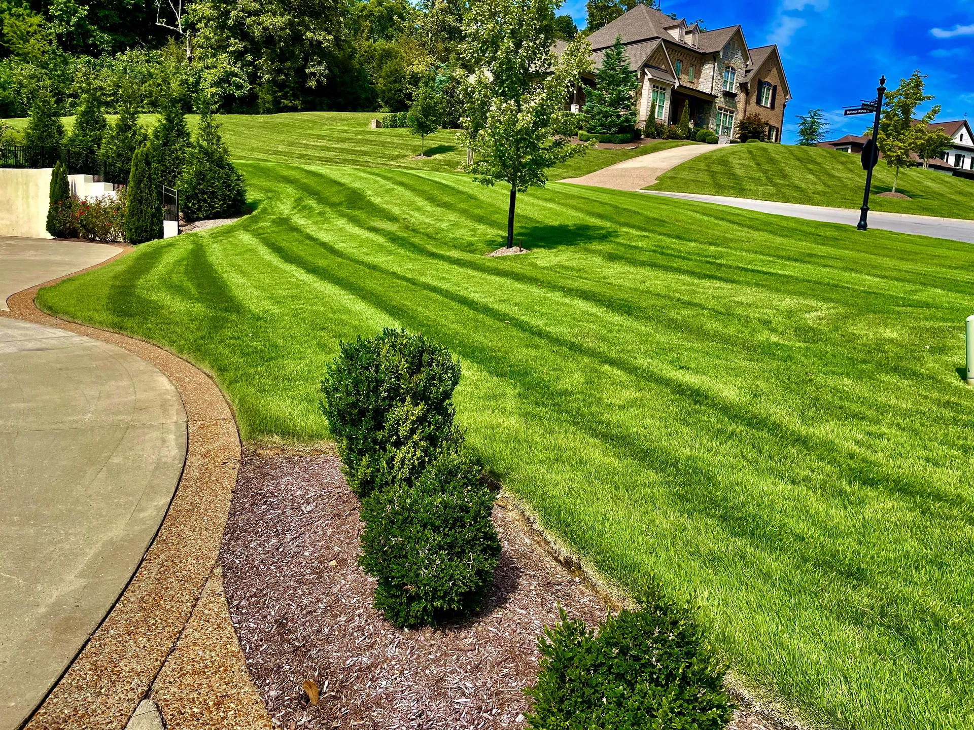Beautiful lawn in Brentwood TN maintained by Mr. Lawn Care