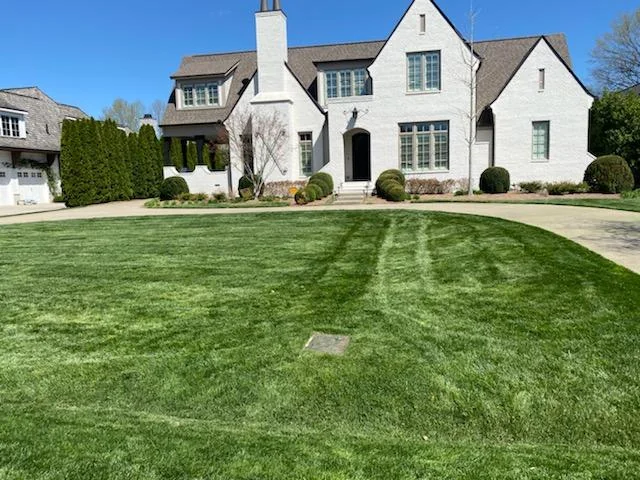 Beautiful Belle Meade Fescue Lawn with Roundabout Driveway — Mr. Lawn Care, Middle Tennessee lawn treatment