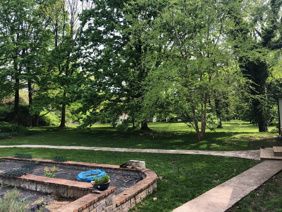 Beautiful Fescue Growing Around Aesthetic Hardscapes — Mr. Lawn Care, Middle Tennessee lawn treatment