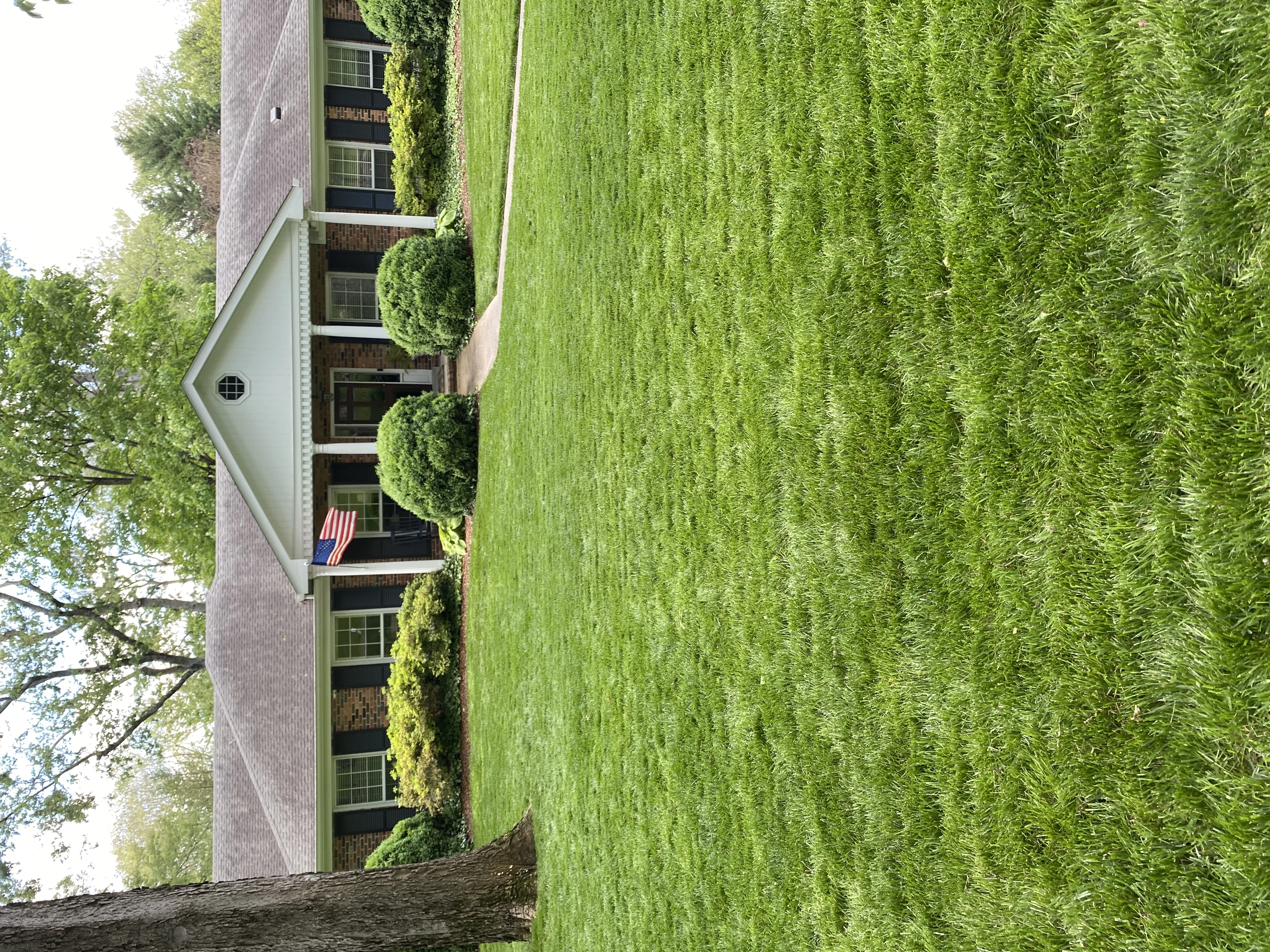 Beautiful Fescue Lawn in Belle Meade TN 2 — Mr. Lawn Care, Middle Tennessee lawn treatment