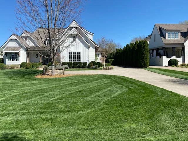 Beautiful Fescue Lawn with Nice Mowing Stripes — Mr. Lawn Care, Middle Tennessee lawn treatment