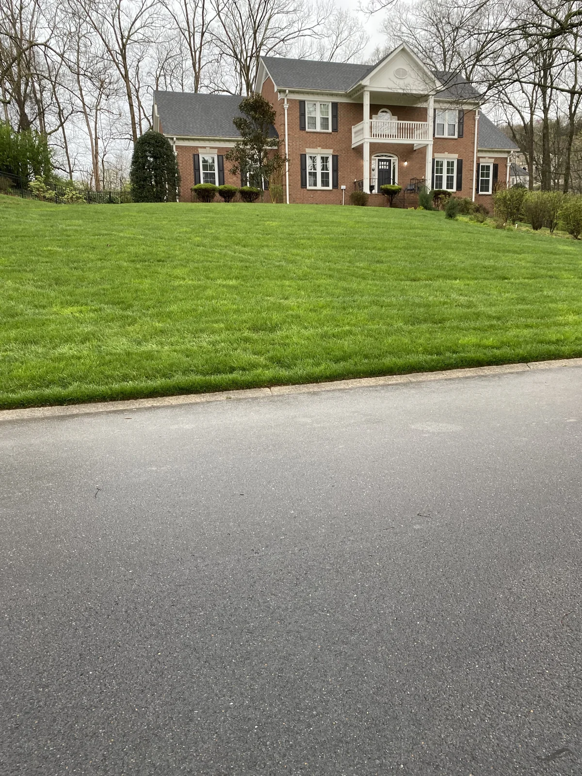 Beautiful Lawn Tall Fescue in Bellevue — Mr. Lawn Care, Middle Tennessee lawn treatment