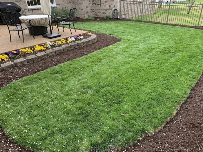 Spring Hill yard lawn care with grass growing perfectly to mulched landscape beds