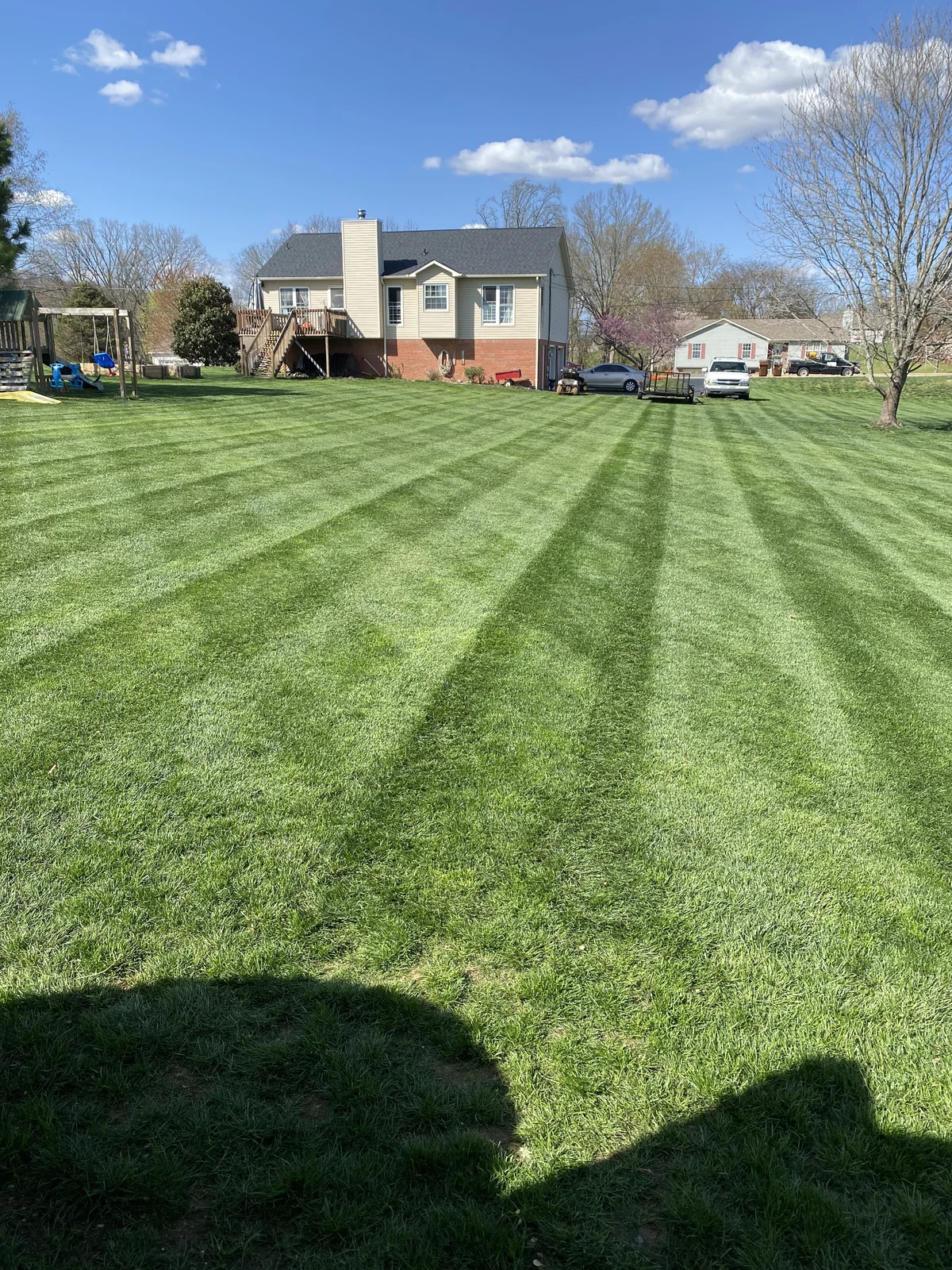 Freshly Mowed Green Lawn with Stripes in Columbia — Mr. Lawn Care, Middle Tennessee lawn treatment