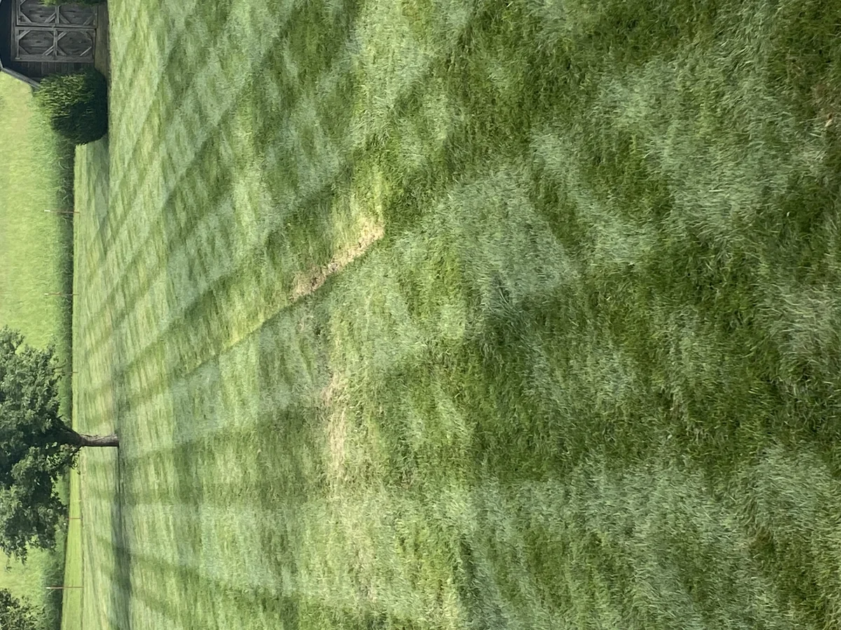 Freshly Mowed Green Lawn with Striping Patterns in Columbia — Mr. Lawn Care, Middle Tennessee lawn treatment