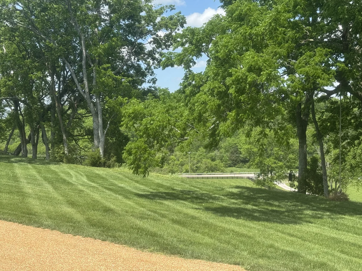 Manicured Green Lawn with Tree Shadows in Eagleville — Mr. Lawn Care, Middle Tennessee lawn treatment