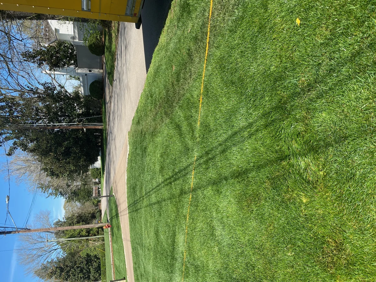 Manicured Turf Grass Bordering Concrete Walkway in Belle Meade — Mr. Lawn Care, Middle Tennessee lawn treatment