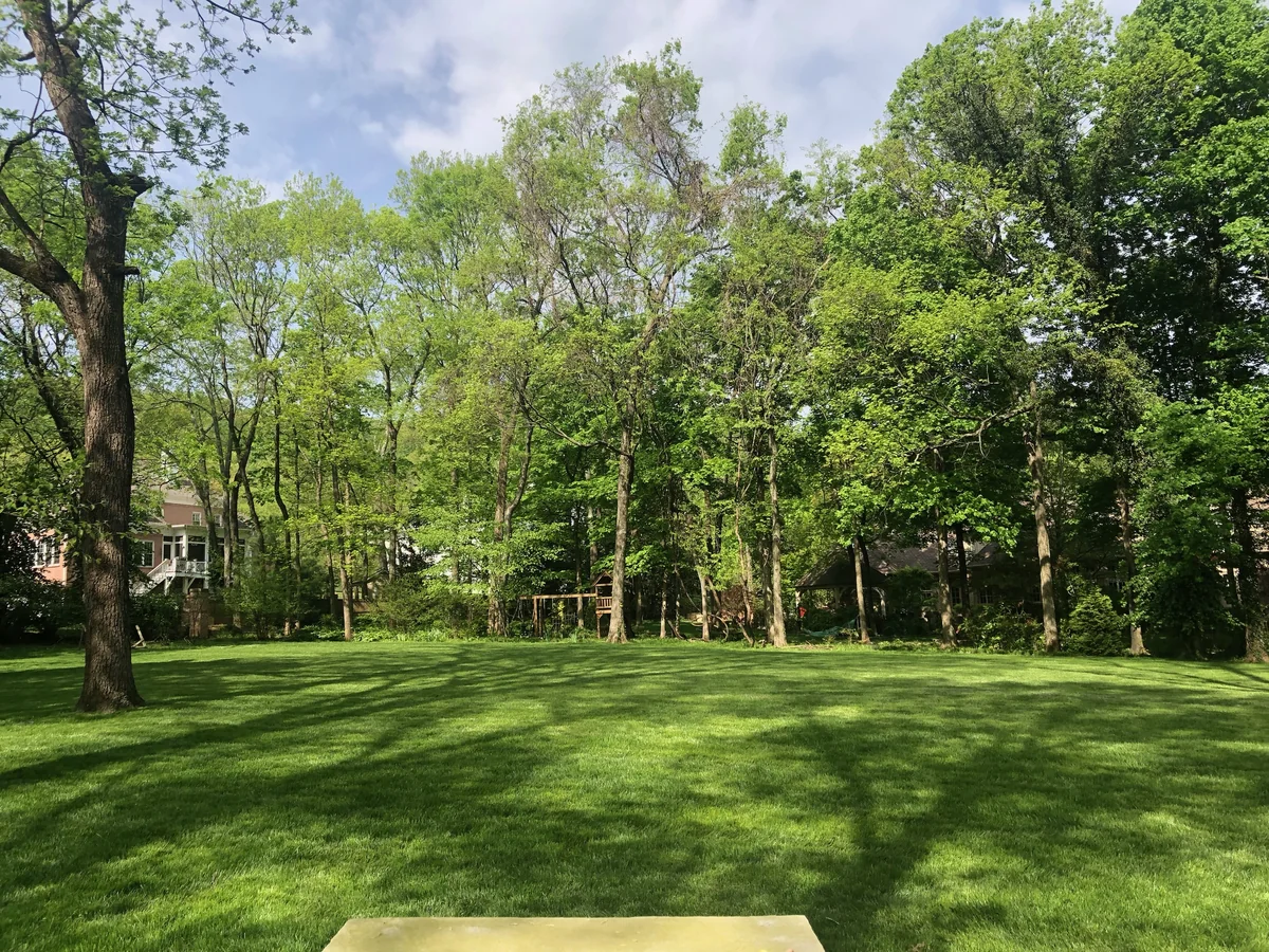 Open Fescue Backyard Lined with Mature Trees — Mr. Lawn Care, Middle Tennessee lawn treatment