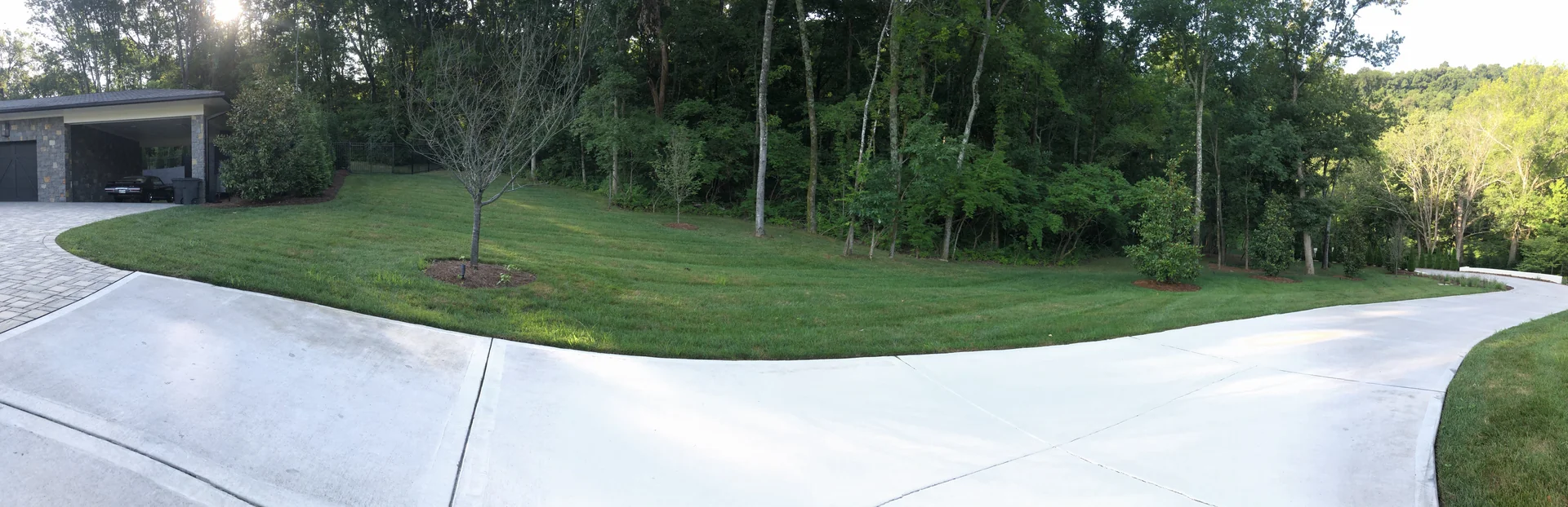Panoramic shot of healthy fescue growing along a driveway in Middle Tennessee
