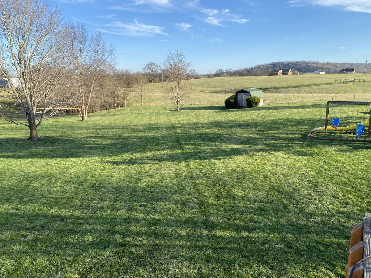 1 Month After Seeding Large Green Backyard Lawn with Mature Trees in Columbia — Mr. Lawn Care, Middle Tennessee lawn treatment