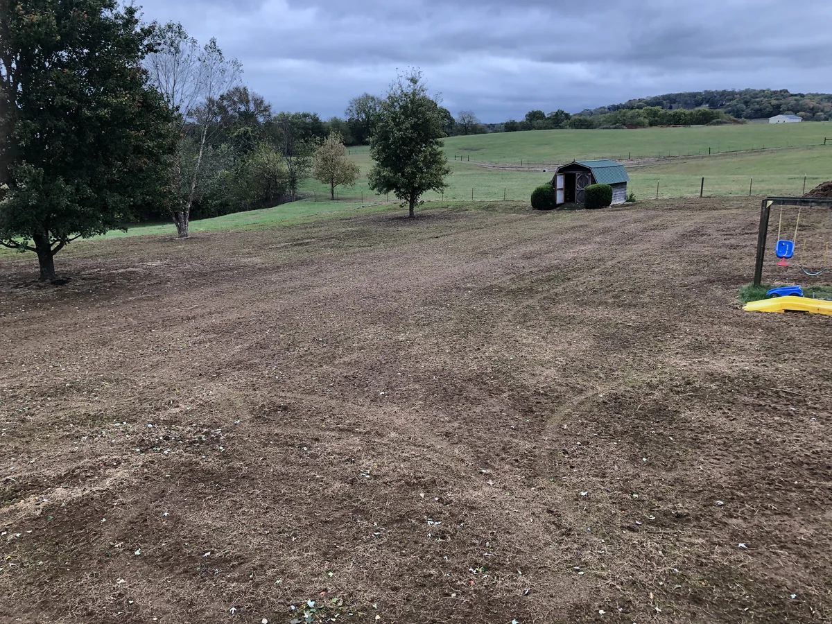 Lawn Starting to Show Germination 1 Week After Seeding in Columbia — Mr. Lawn Care, Middle Tennessee lawn treatment