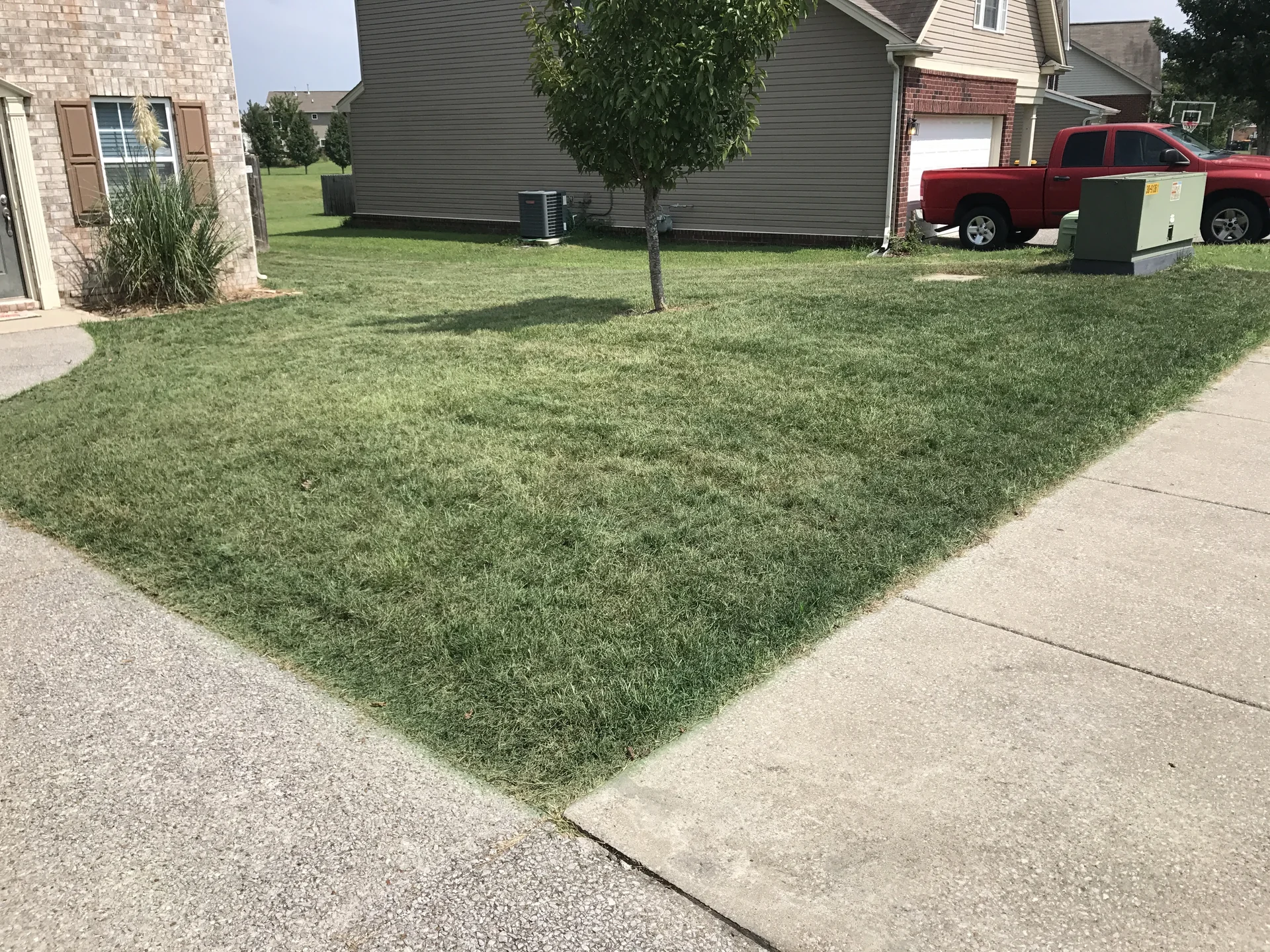 Spring Hill TN lawn after Mr. Lawn Care treatment — thick healthy fescue