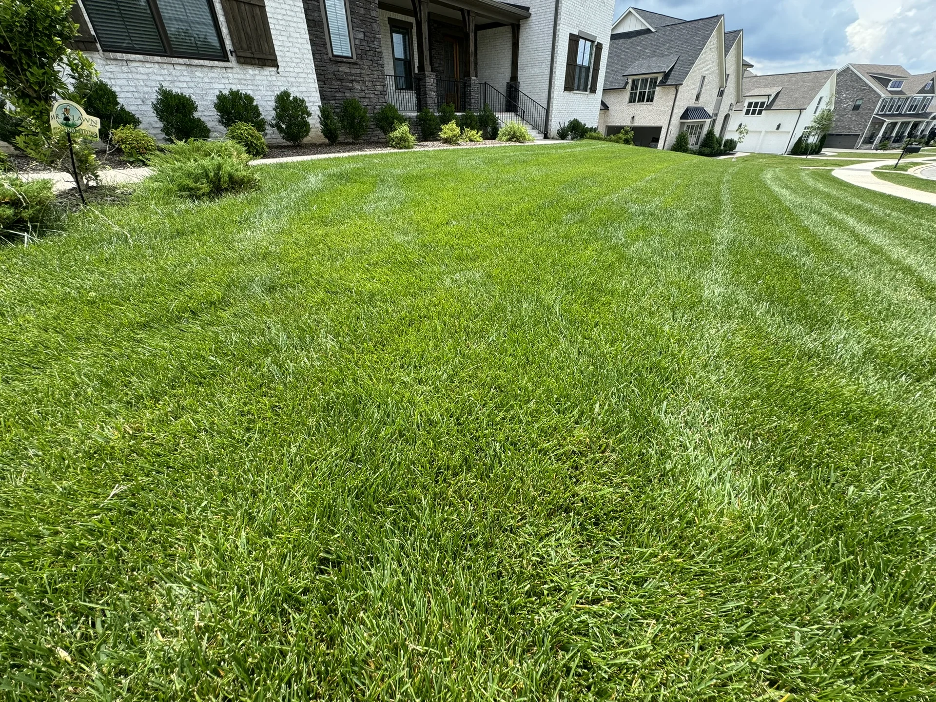 A Beautiful Fescue Lawn in Kings Chapel Neighborhood You Can See the Mr Lawn Care Sign in the Top Right Corner — Mr. Lawn Care, Middle Tennessee lawn treatment