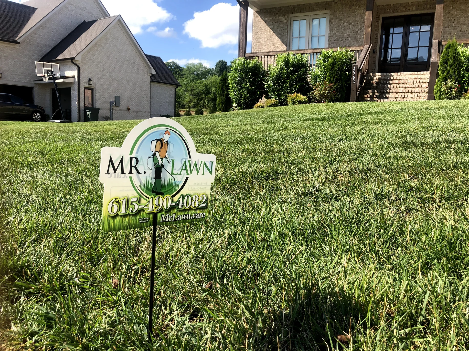 Close-up of Mr. Lawn Care sign in a Spring Hill TN fescue lawn
