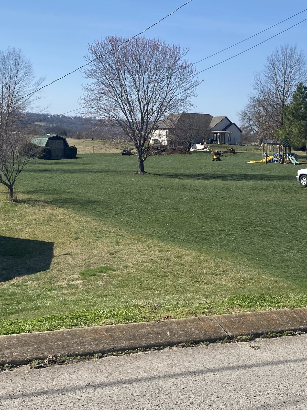 Treated Fescue Lawn on the Right Untreated Lawn on the Left in Culleoka — Mr. Lawn Care, Middle Tennessee lawn treatment