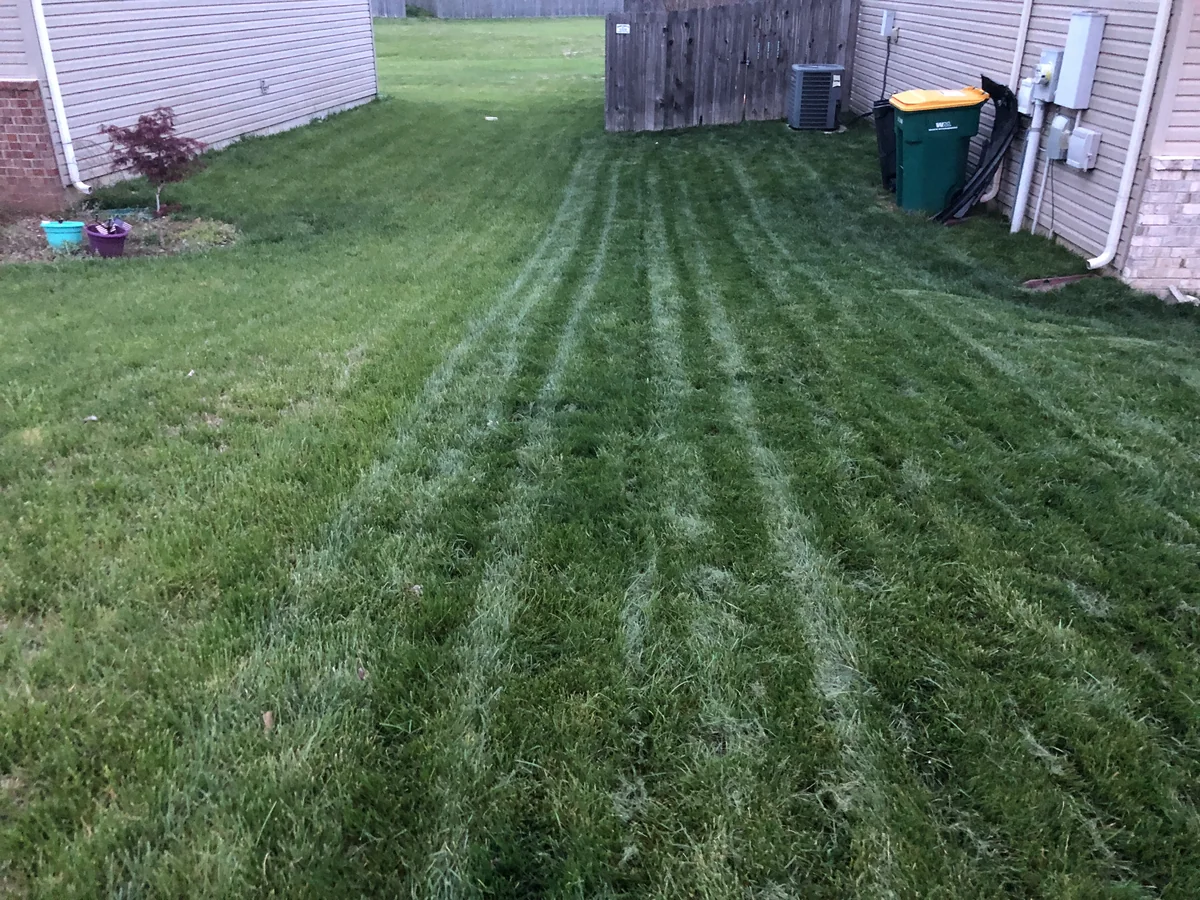 Treated Vs Untreated Freshly Mowed Green Grass with Visible Striping Patterns on Right Untreated Onleft in Spring Hill — Mr. Lawn Care, Middle Tennessee lawn treatment