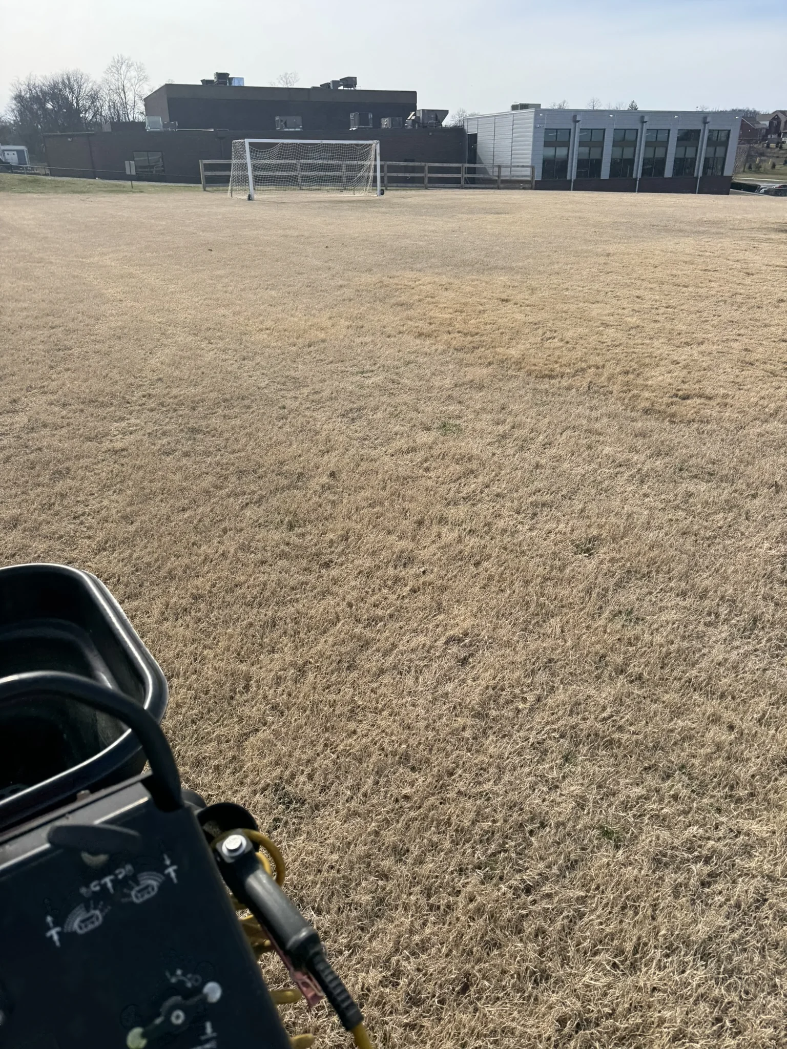 Hybrid Bermuda Grass — photo 4