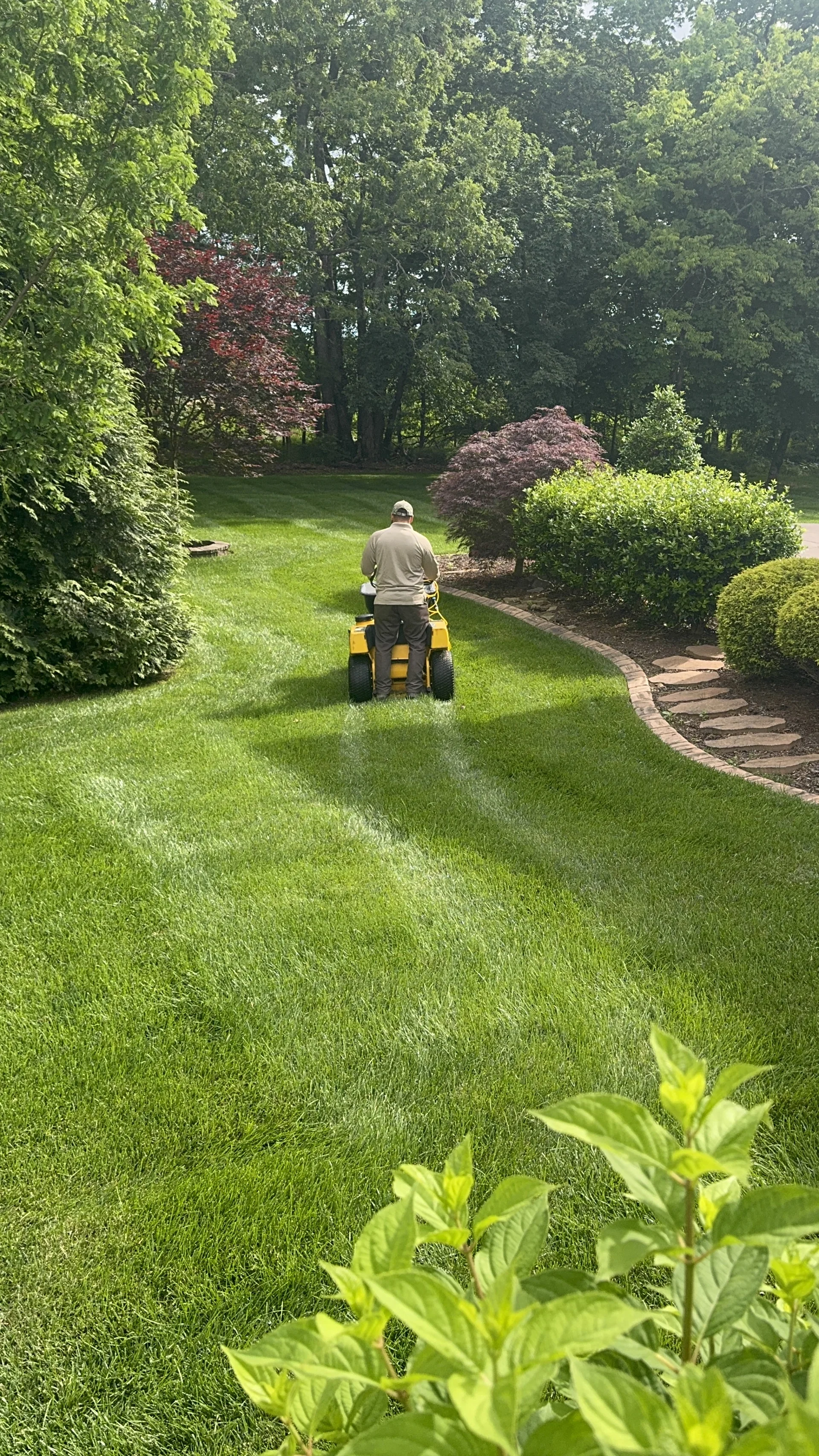 One of Our Horticulturists Apllying an Application to a Beautiful Fescue Lawn with the Stinger Gateway Applicator — Mr. Lawn Care, Middle Tennessee lawn treatment