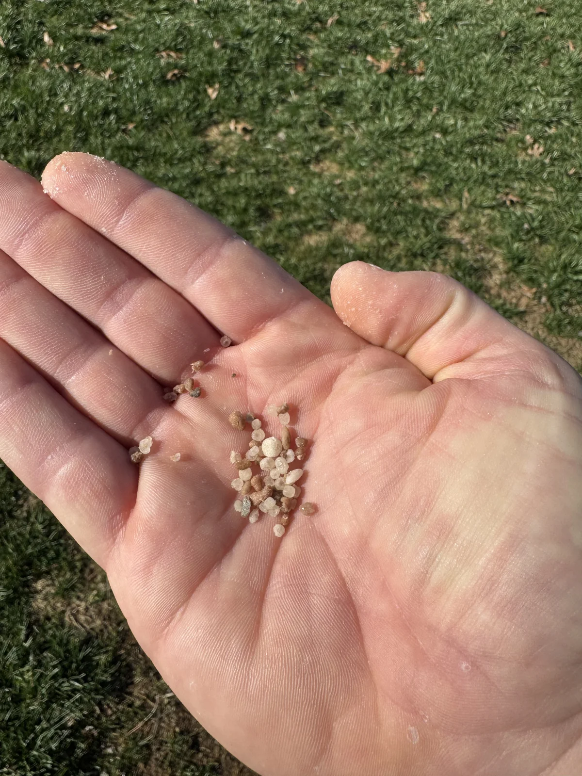 Small Granules of Fertilizer Held in Hand in Cool Springs — Mr. Lawn Care, Middle Tennessee lawn treatment