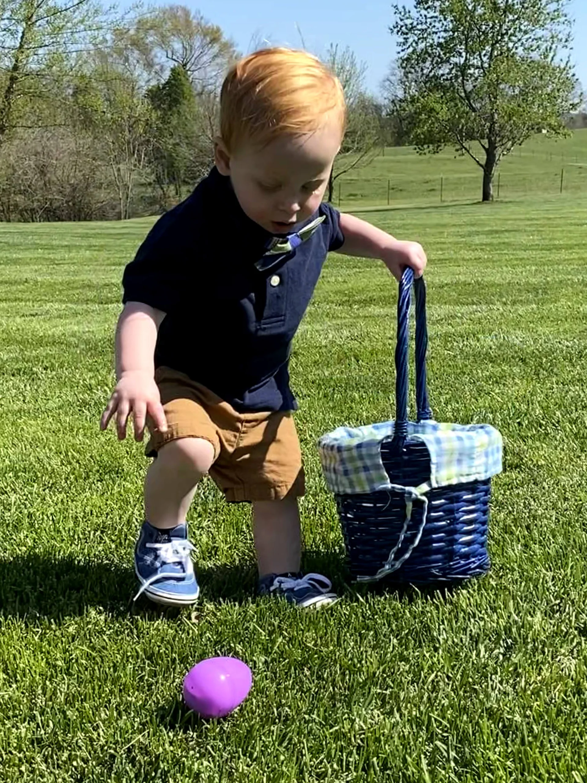 Little boy doing Easter egg hunt on beautiful healthy fescue grass — safe family lawn by Mr. Lawn Care
