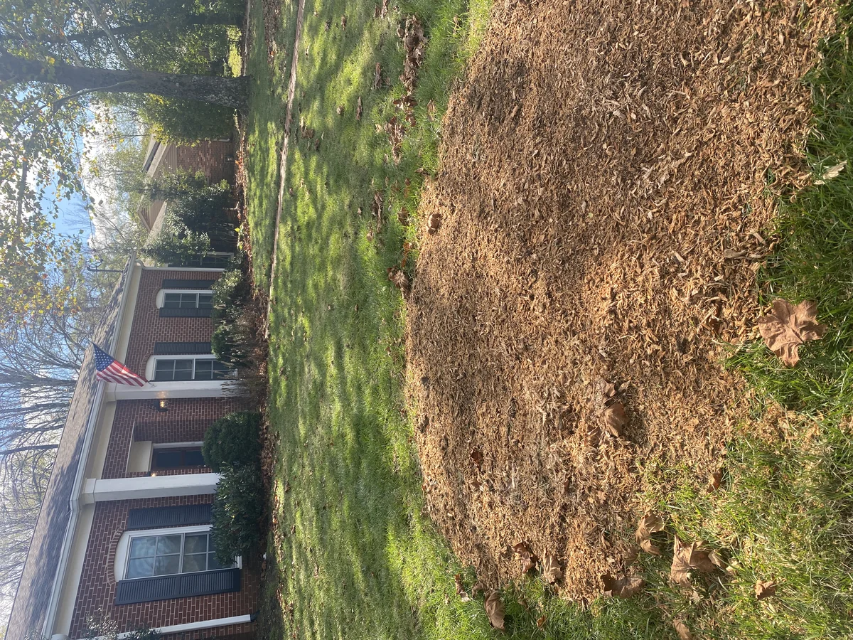 Shallow Tree Stump Grinding with Wood Chips Left Behind Needs Excavation and Topsoil — Mr. Lawn Care, Middle Tennessee lawn treatment