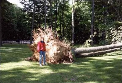 Injury from Climatic Conditions — photo 33