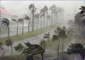 Injury from Climatic Conditions — photo 34