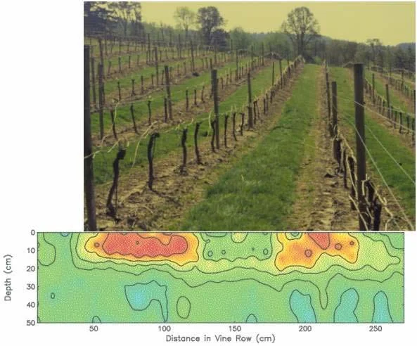 Mechanical Injury — photo 23