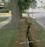 Mechanical Injury — photo 26