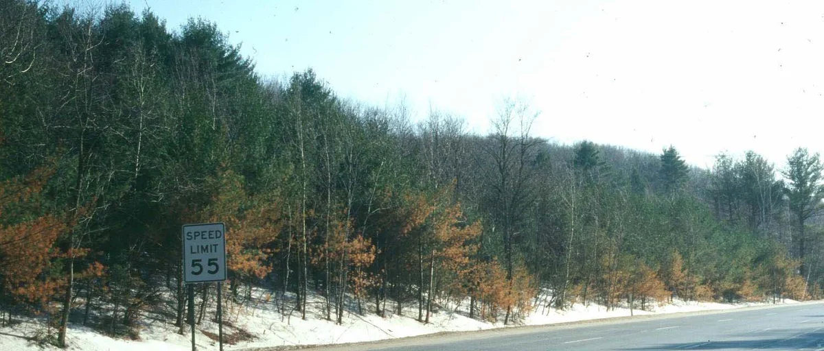 Steps to Diagnosis — photo 13