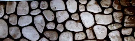 Steps to Diagnosis — photo 15