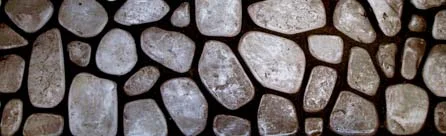 Steps to Diagnosis — photo 16