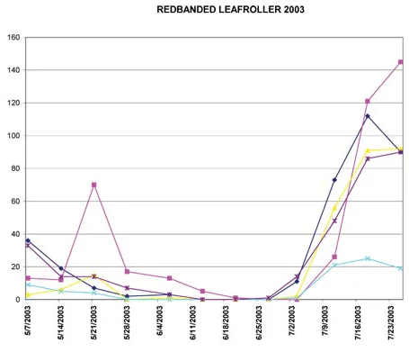 Steps to Diagnosis — photo 3