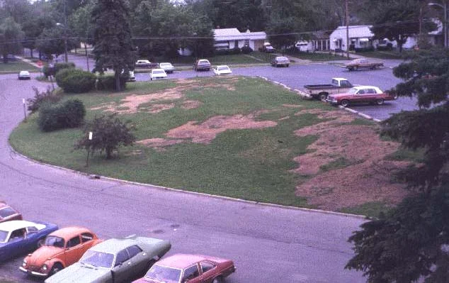 Steps to Diagnosis — photo 8