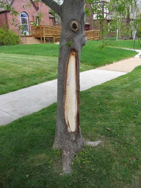 Sunburn? — photo 21