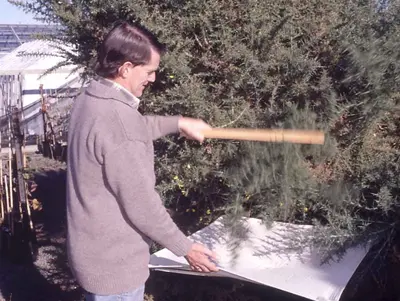 of Plant disease in Middle Tennessee