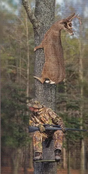 Steps to Diagnosis disease in Middle Tennessee