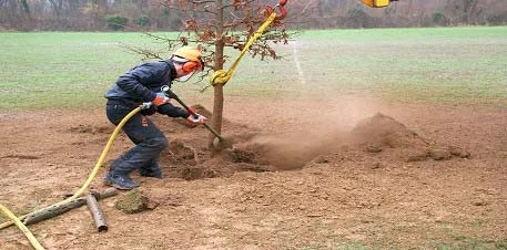 tomography — photo 15