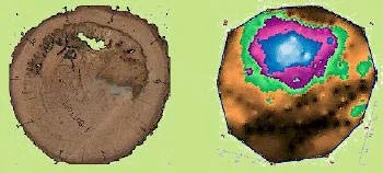 tomography — photo 17