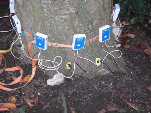 tomography — photo 18